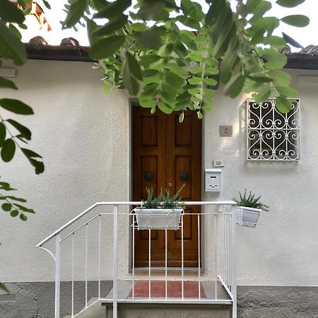 Rustico Rosmarino Villa Castiglion Fiorentino Kültér fotó